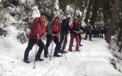 „ALM“-SeniorInnen unterwegs Sportwanderungen im Winter